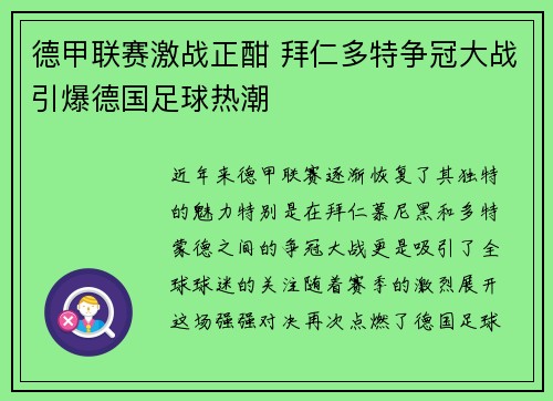 德甲联赛激战正酣 拜仁多特争冠大战引爆德国足球热潮